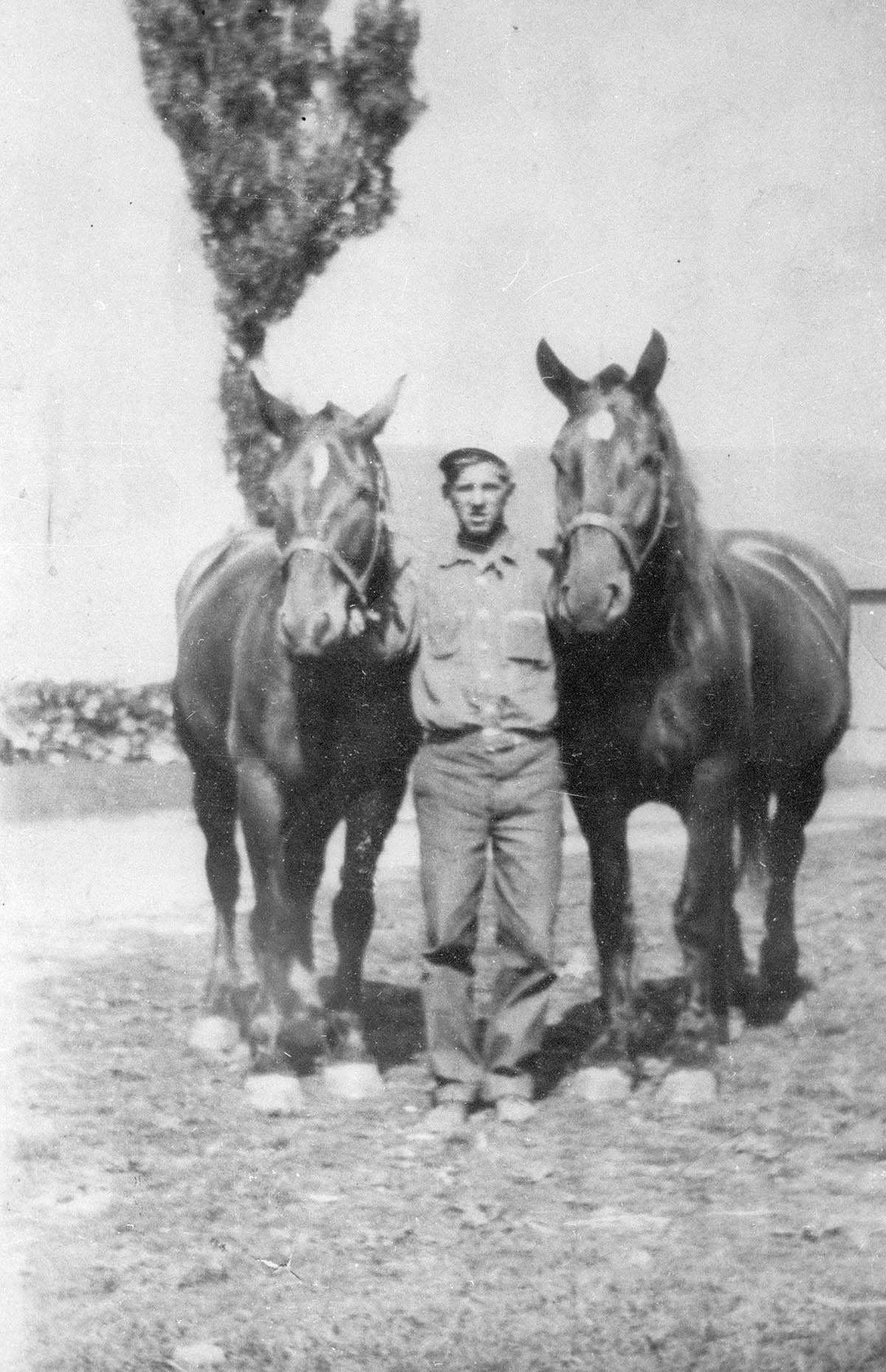 Roland Peil standing with two horses